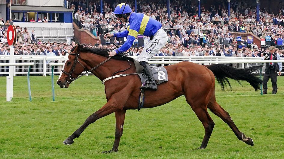 Dysart Dolomite gives Willie Mullins a second winner at Ayr