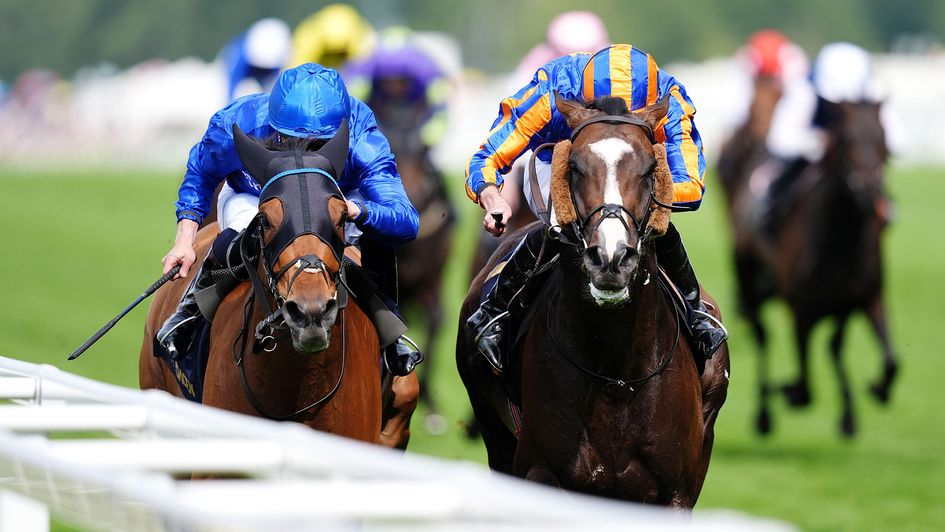 Scandinavia (right) toughs it out with Trawlerman in a Gold Cup epic