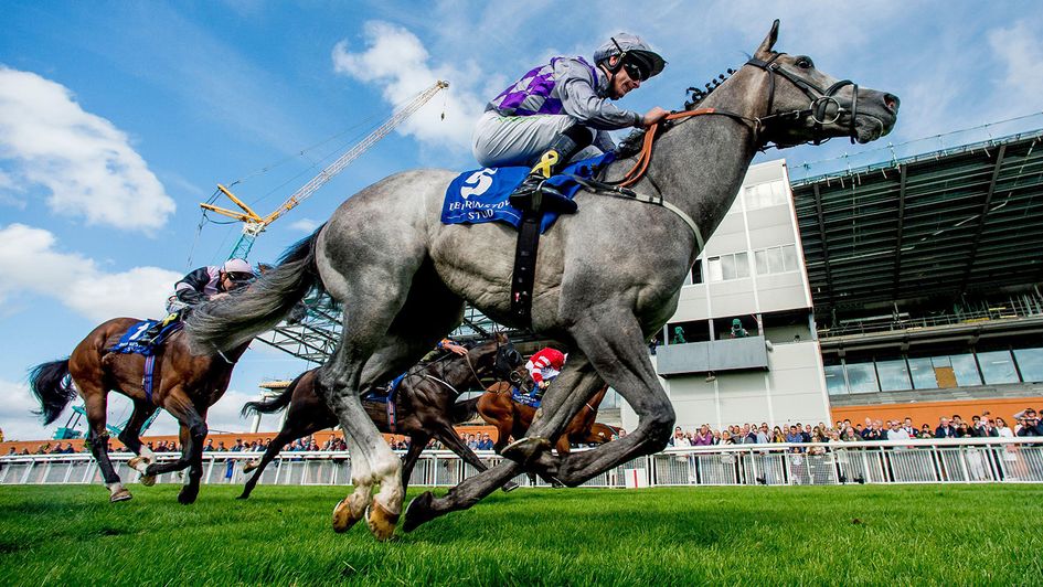 Havana Grey winning the Flying Five at the Curragh