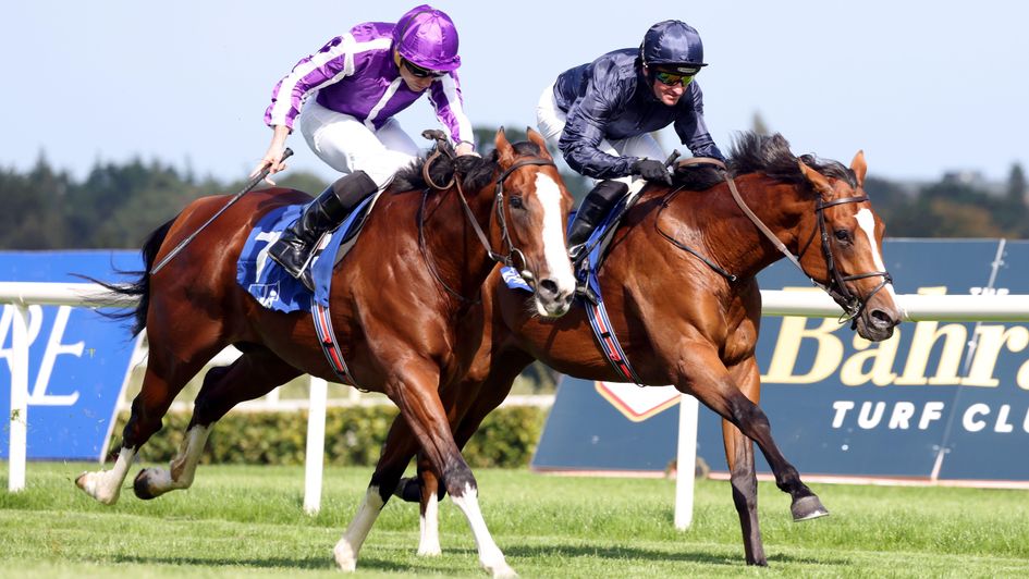 Diego Velazquez wears down Capulet at Leopardstown