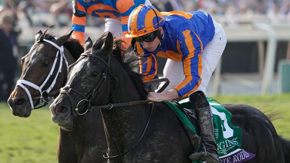 Auguste Rodin wins the Breeders' Cup Turf