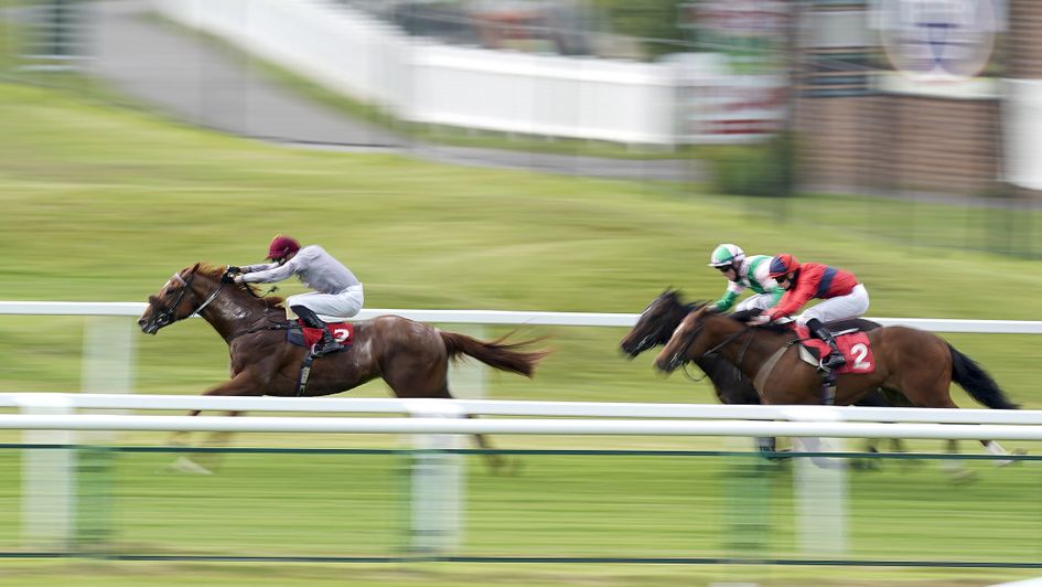 Ebro River wins the National Stakes