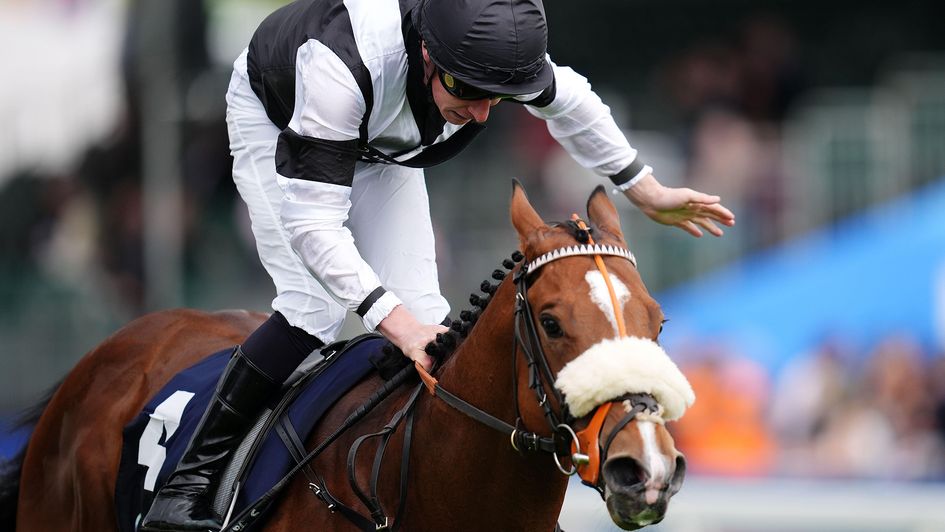 Sam James gives Hickory Lad a pat down the neck