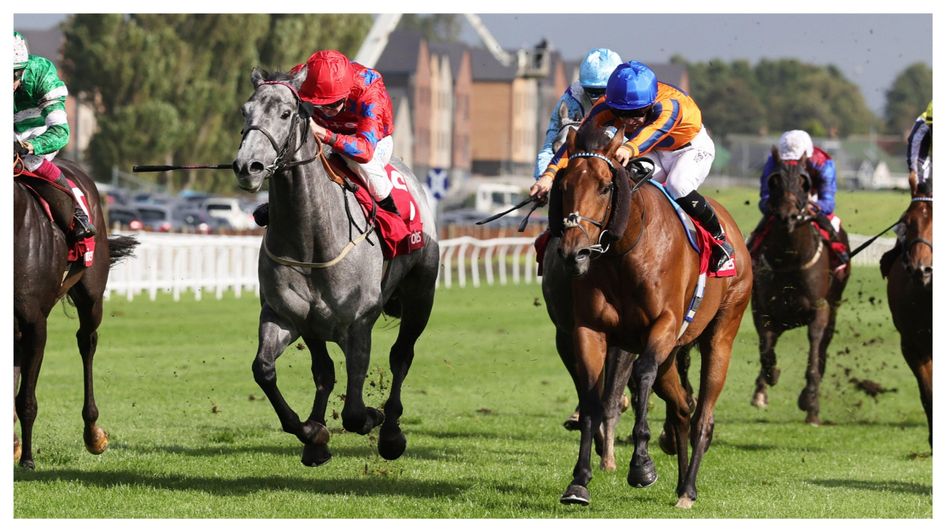 Station X (grey, red silks) wins the Silver Cup