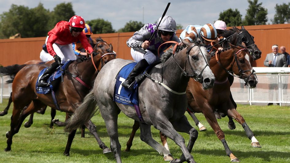 Havana Grey springs a surprise at the Curragh