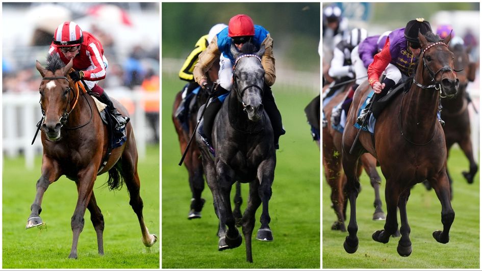 Who is taking on Constitution Hill at Kempton?
