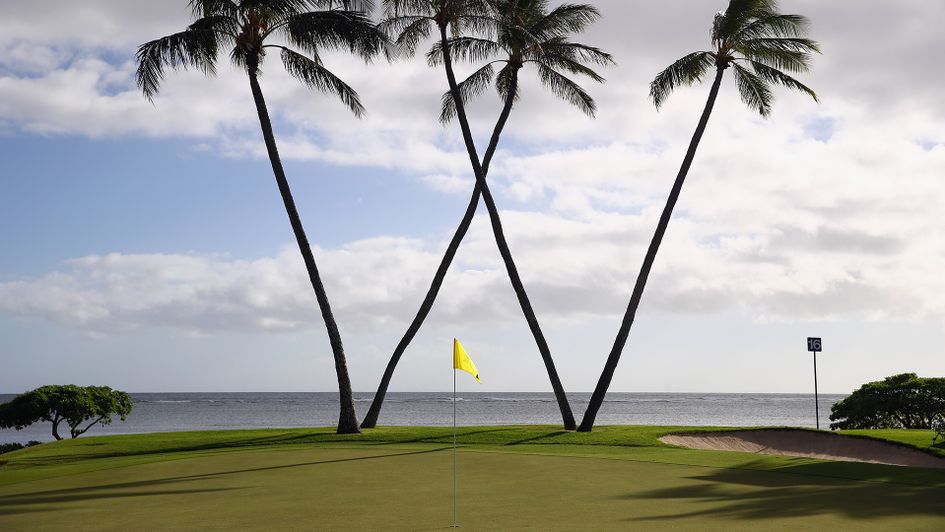 Who will get the big W at the Waialae Country Club?