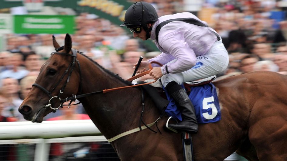 Utmost Respect in action