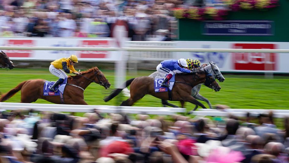Trawlerman wins the Sky Bet Ebor in the final strides