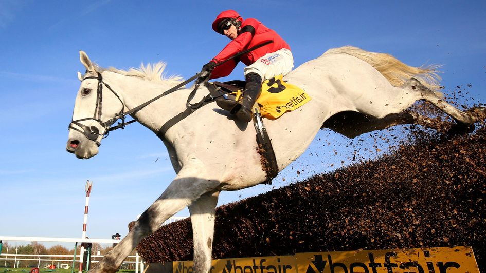Grey Dawning - ready to attack the Betfair Chase again