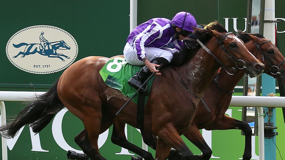 Japan - can land day two feature