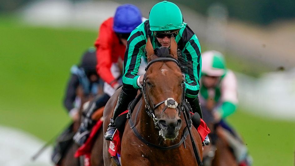 Century Dream: Better than ever at Goodwood