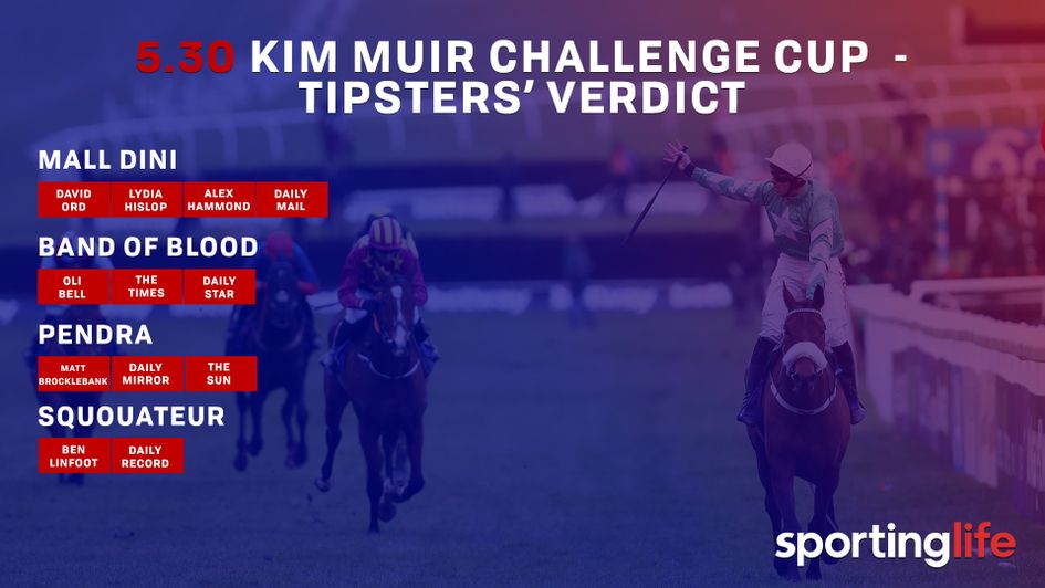 530 tipsters' verdict