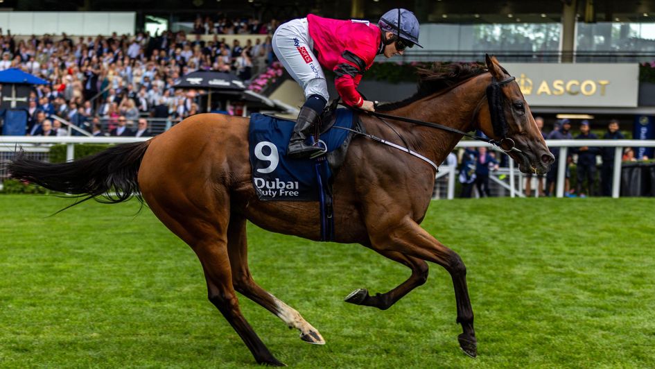 The Very Man and Hollie Doyle win at Ascot