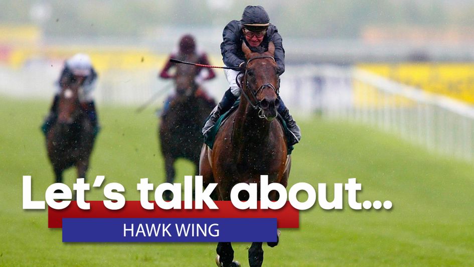 Hawk Wing: Monster or meh?