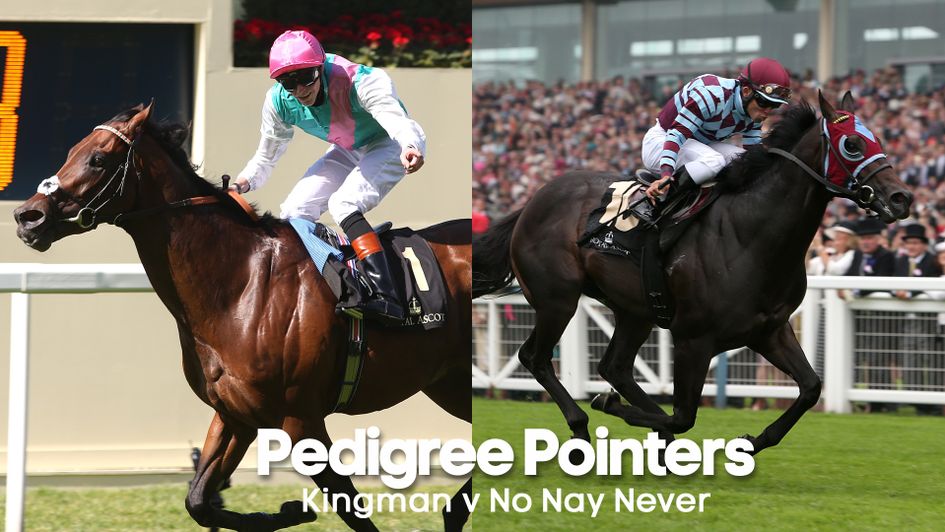Kingman and No Nay Never are making names for themselves at stud
