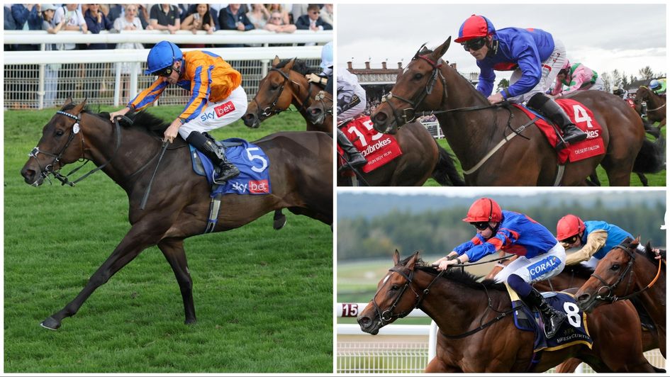 The Ayr Gold Cup shortlist