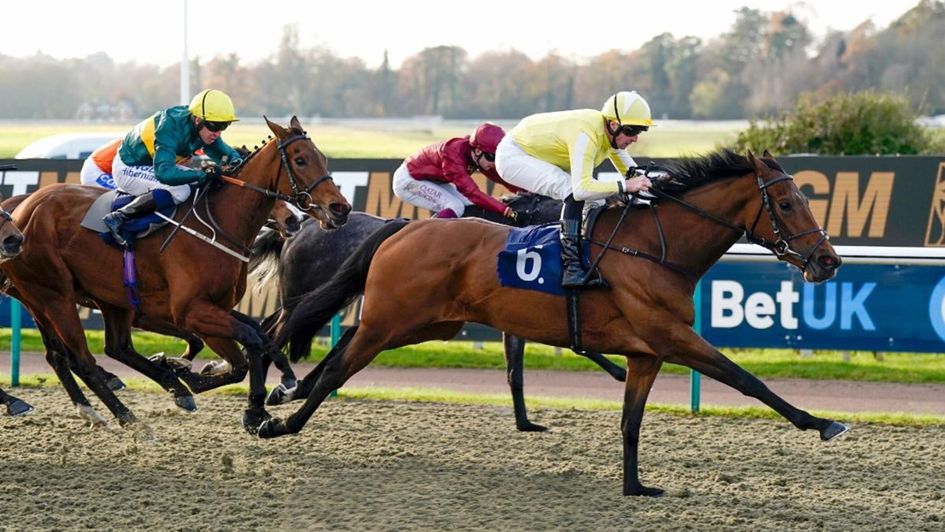 Oh So Grand wins the BetMGM Winter Oaks Trial (credit: Lingfield Park)
