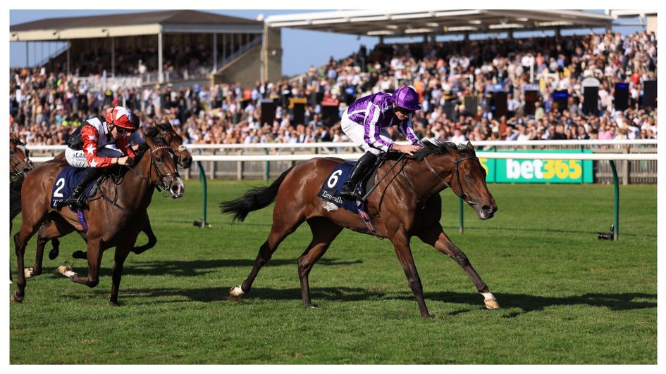 Sun Goddess lands the Cheveley Park in style