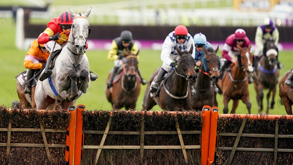 Vanillier jumps the last flight in the Albert Bartlett Novices' Hurdle