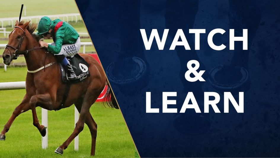 Tarnawa was a touch unlucky in the Arc