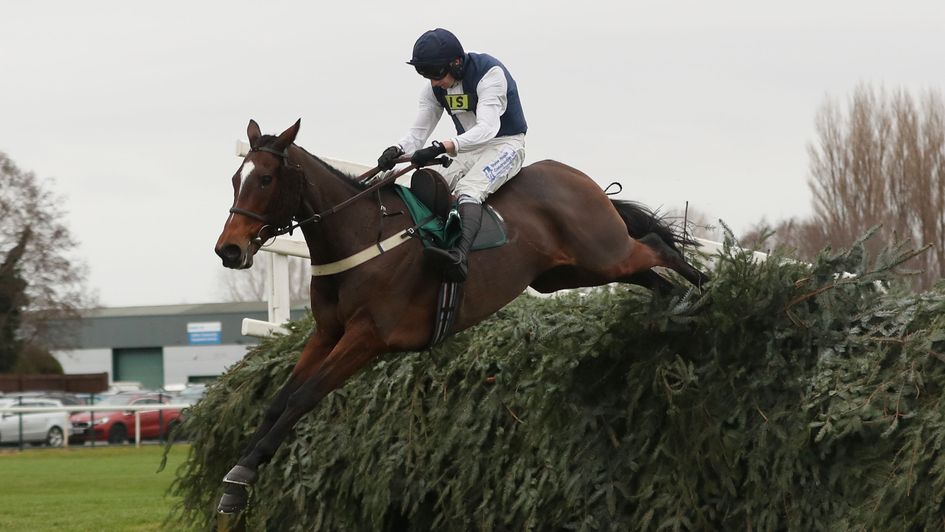 Walk In The Mill clears the last as he wins a second Becher Chase