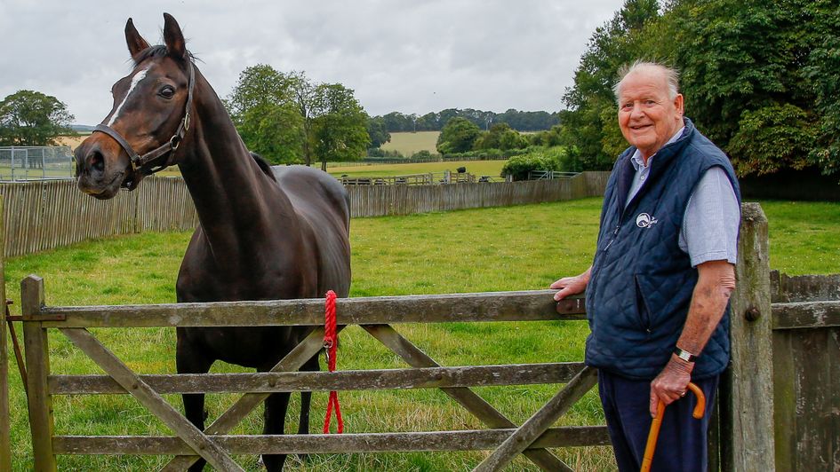 Celeric relaxing in his paddock