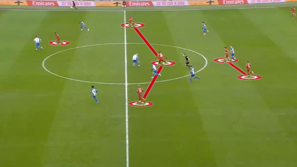 Liverpool shape analysis