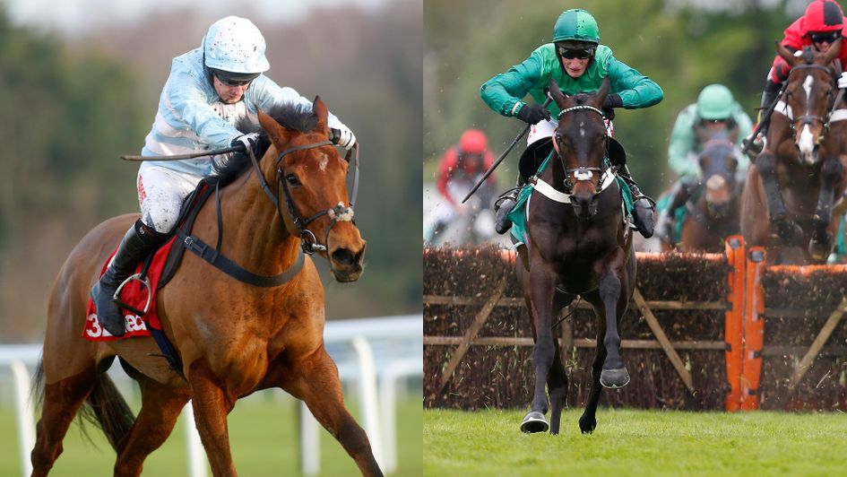 Summerville Boy (left) and Call Me Lord winning at Sandown