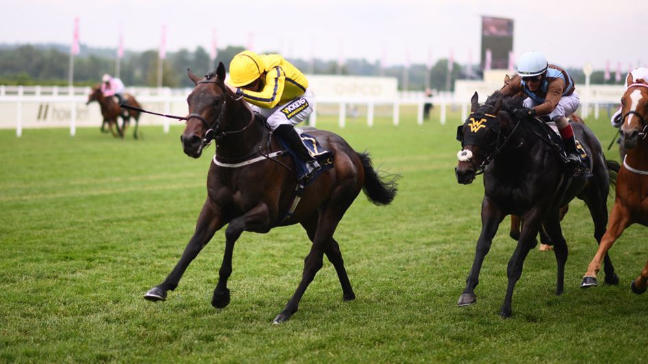 Perfect Power prevails in the Norfolk Stakes