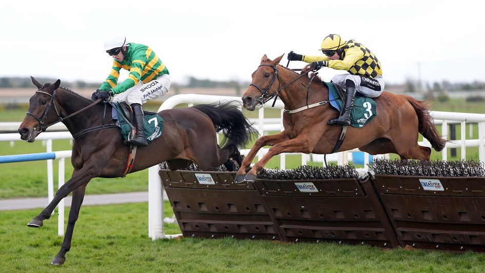 Proactif on his way to beating Macho Man at Fairyhouse