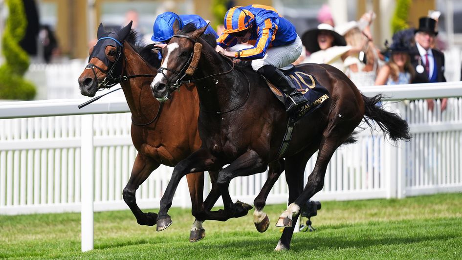 Scandinavia overhauls Trawlerman in an entertaining Gold Cup finish