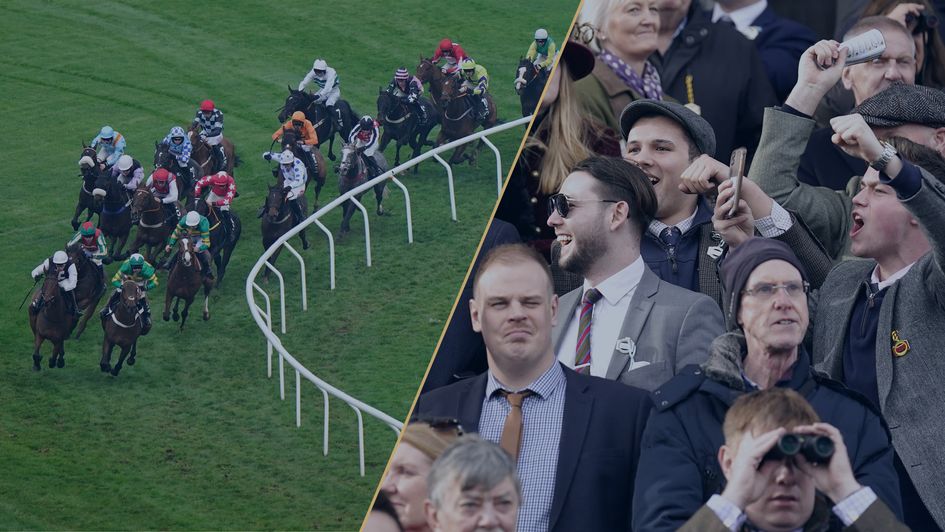 Cheltenham November Meeting