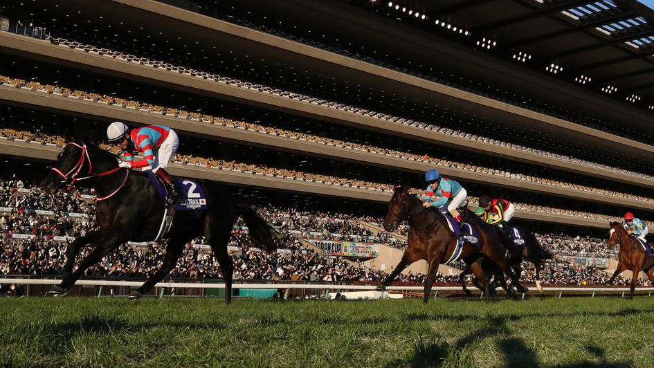 Contrail wins the Japan Cup (Courtesy of the Japanese Racing Association)
