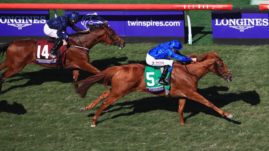 Wuheida won the Breeders' Cup Filly & Mare Turf at Del Mar