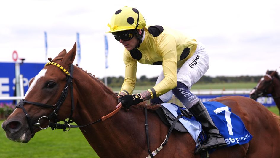 Exciting prospect Zeus Olympios wins at Newmarket