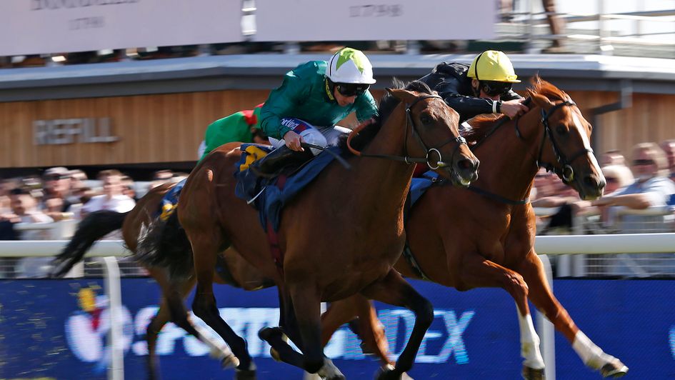 Stradivarius is beaten by Here And Now on his last start over a mile-and-a-half