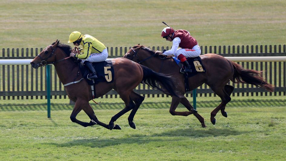 Far Above wins at Newmarket