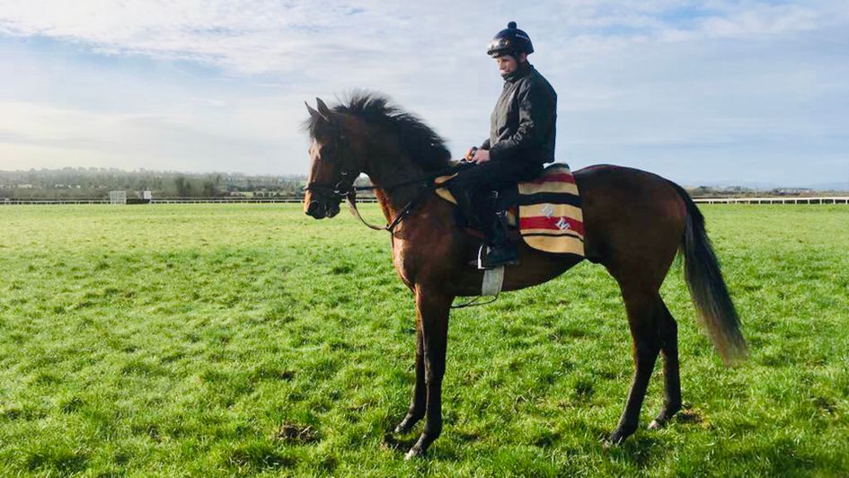 Irishcorrespondent as a 3YO at Mick Halford's