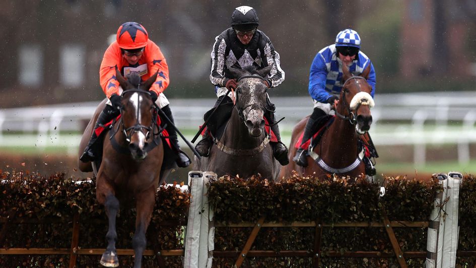 Honky Tonk Highway on her way to victory