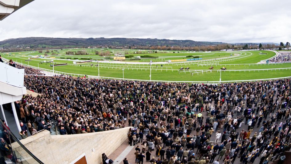 A huge crowd at Cheltenham on New Year's Day