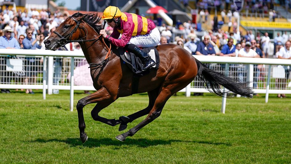 An impressive winning debut from Bayside Boy