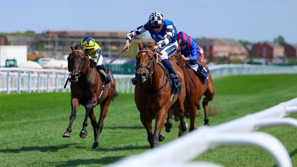 Wine Dark Sea is in control of the Geoffrey Freer