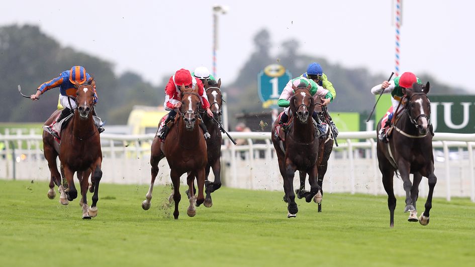 Pyledriver dents some tall reputations in the Sky Bet Great Voltigeur