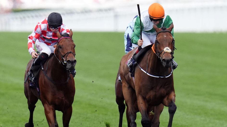 Ziggy (left) - can improve as his stamina is stretched out