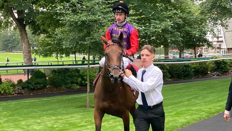 Improvise returns under Oisin Murphy