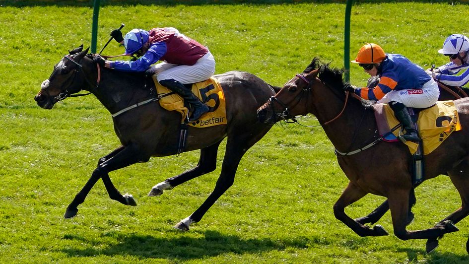 Cap Francais springs a surprise at Newmarket