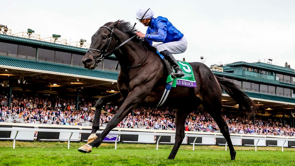 Rebel's Romance wins the Breeders' Cup Turf (image courtesy of Breeders' Cup)