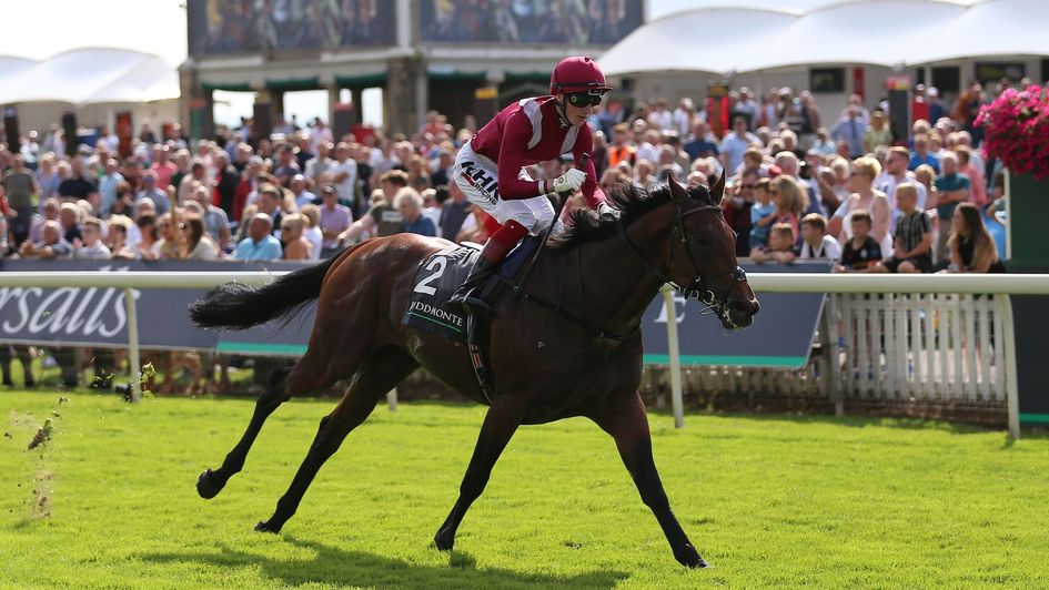 Mishriff at his destructive best at York