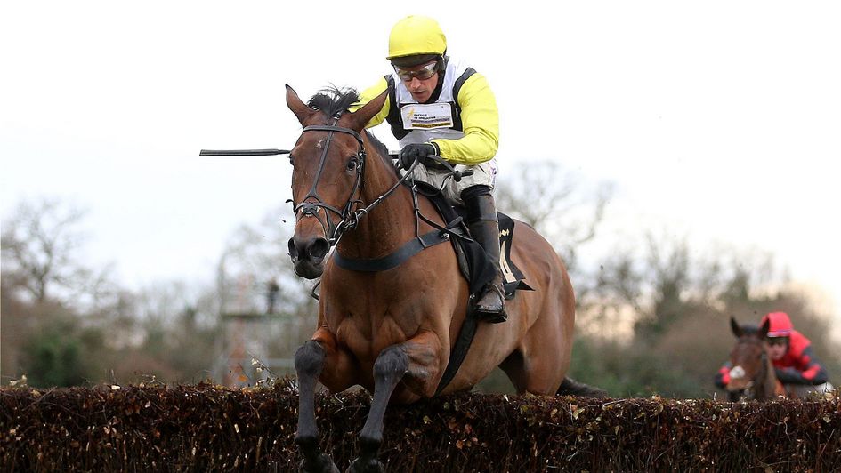 Galia Des Liteaux jumping at Warwick